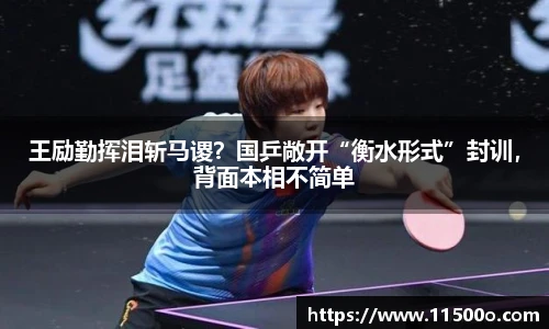王励勤挥泪斩马谡？国乒敞开“衡水形式”封训，背面本相不简单